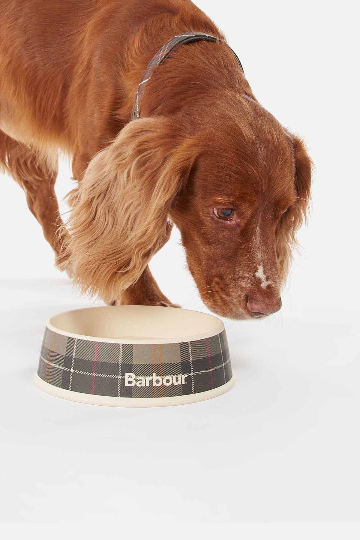 Tartan Dog Bowl